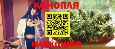 бошки Сланцы
