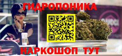 ECSTASY Славгород
