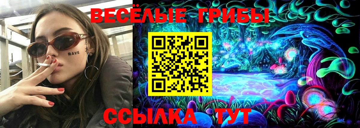 Белебей  Псилоцибиновые грибы Psilocybe  сколько стоит  Вход с VPN  Псилоцибиновые грибы Magic Shrooms 