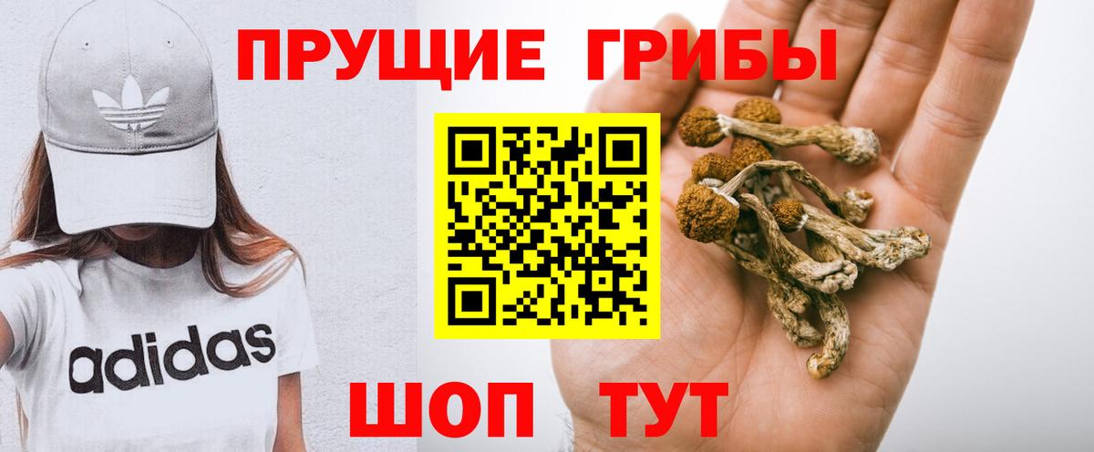 Псилоцибиновые грибы Cubensis Белебей